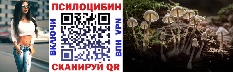 продажа наркотиков  mega tor  Галлюциногенные грибы Psilocybe  Владимир 